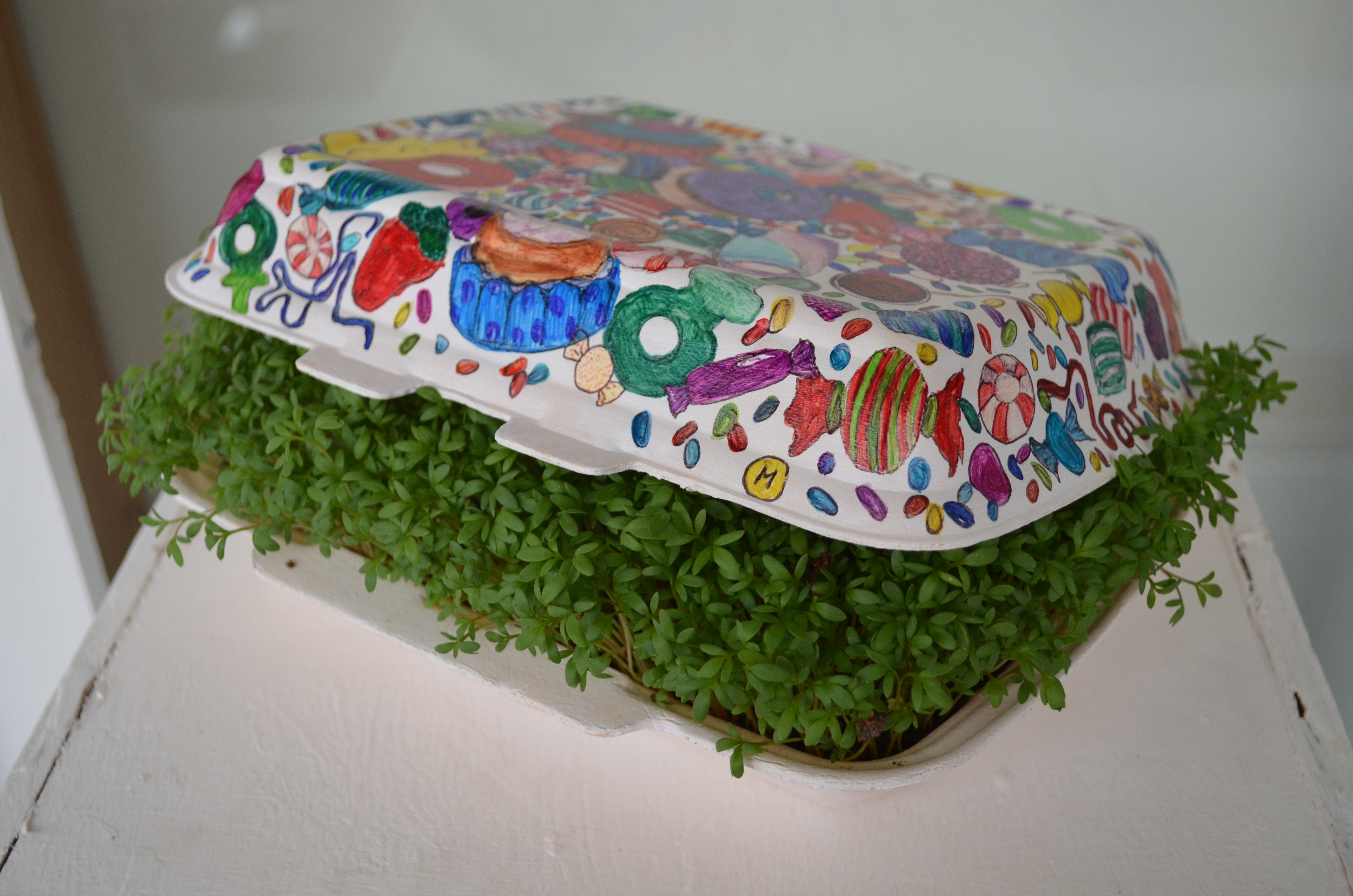 IB Art 2014